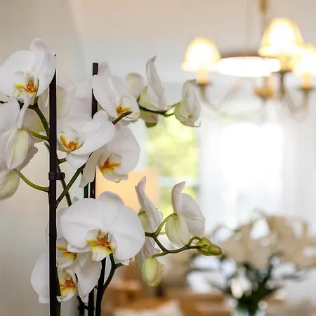 Veronikapartman - Brand New & Cozy - With Underground Garage Daire