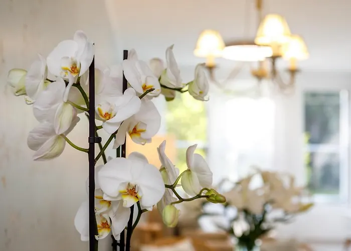 Veronikapartman - Brand New & Cozy - With Underground Garage Apartament