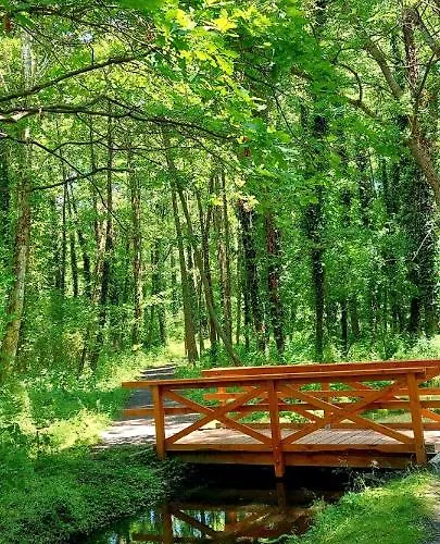 Veronikapartman - Brand New & Cozy - With Underground Garage